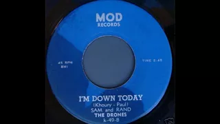 The Drones- I'm Down Today(1966).