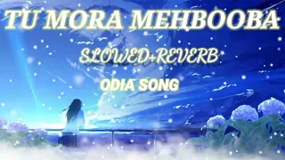 Tu Mora Mehbooba Odia Song (Slowed+Reverb) Singar Swayam Padhi & Asima Panda