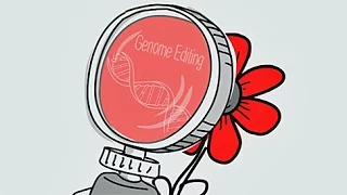 Neue Züchtungstechniken - Genome Editing