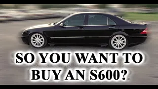 So You Want to Buy a #S600 #W220 V12? Here Are Some Advice.