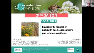 Webinaire DEPHY EXPE - Favoriser la régulation naturelle des bioagresseurs par la faune auxiliaire 2