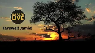 safariLIVE- Sunset Safari - November 15, 2019