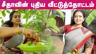 Actress Seetha-வின் புதிய வீட்டுத்தோட்டம் | New Home Blooming Garden