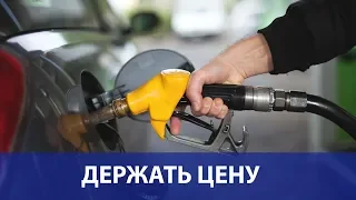 ФАС предложила стабилизировать цены на бензин регулярными продажами