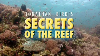 Secrets of the Reef (2008) - A Film by Jonathan Bird