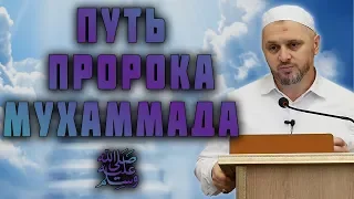 Путь Пророка, мир ему и благословение