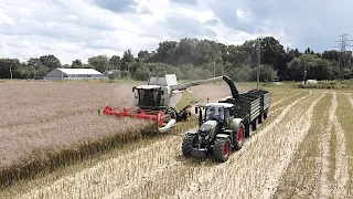 | Wakacje w GR Rojek | Żniwa & Uprawa i siewy rzepaku | Fendt 720 & John Deere 6230R