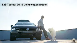 2019 Volkswagen Arteon: Andie the Lab Review!