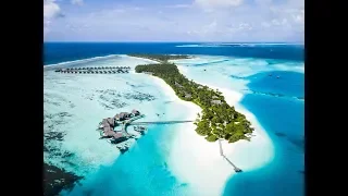 Отель NIYAMA PRIVATE ISLANDS MALDIVES 5* (Мальдивы) самый честный обзор от ht.kz