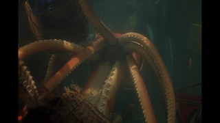 Reap the Wild Wind - Giant Squid