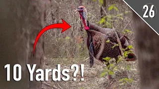 GOBBLERS EVERYWHERE!! - Kentucky Opener!