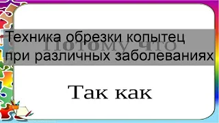 Техника обрезки копытец при различных заболеваниях