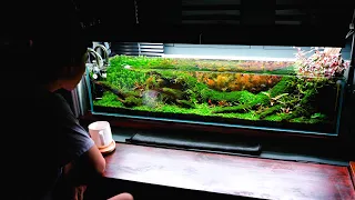 #8 Peaceful | I built an aquarium "coffee bar" in my office to relax | shallow 120 | Aquascaping