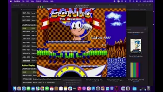 Sonic 1: The rare glitch