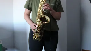 I Took a Pill in Ibiza - Mike Posner (alto sax cover)