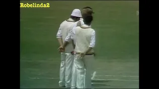 197475 ASHES 5th test ADELAIDE highlights 80 mins