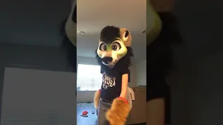 The Real Slim Shady’s 24K Magic | Fursuit dchance