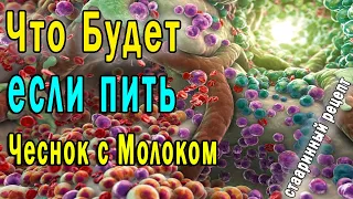 ✔ Вот что Молоко с Чесноком сделают с Вашим Организмом 👍 Старинный Тибетский Эликсир