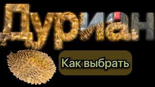 Дуриан – король фруктов: удивительные факты и вкусовые качества