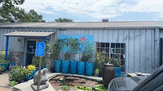 Quick live! Trip to local water garden shop!