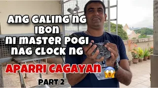 MPC 5TH LAP, NORTH DERBY RACE, APARRI CAGAYAN - PART 2 |Reggie Cruz Loft & Aviary #reggiecruzloft