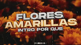 Flores Amarillas (Intro Por Que) (Remix) - Pardo DJ Ft. DJ NahuMix