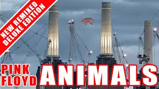 NEW Pink Floyd ANIMALS Special Edition? Roger Waters Says YES... and MORE!