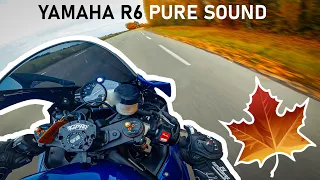 🔊 R6 2020 AKRAPOVIC PURE SOUND - Autumn ride 🍂