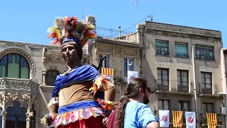 Gegants de Reus - Lluïment del Seguici Festiu · Festa Major de Sant Pere de Reus (29/6/2013)