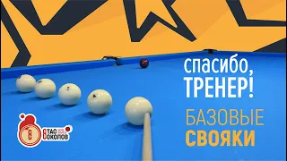 Как тренировать свояки в русском бильярде?