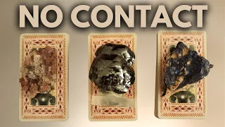 NO CONTACT! FEELINGS, ACTIONS, FUTURE, ADVICE.  PICK A CARD TIMELESS TAROT READING