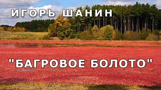 "Багровое болото". Мистика/Аудио рассказ.