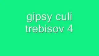 gipsy culi trebisov 4