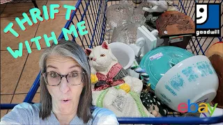 I Can't Believe I Found All This in 1 Goodwill Store!  Thrift With Me
