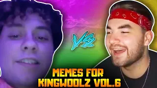 KingWoolz Reacts to MEMES For KINGWOOLZ [vol.6]