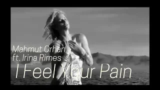 Mahmut Orhan ft. Irina Rimes - Schhh. (I Feel Your Pain)