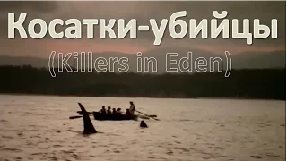 Косатки убийцы (Killers in Eden) HD
