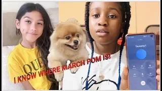 CALLING TXUNAMY FROM FAMILIA DIAMOND ABOUT HER LOST PUPPY MARCH POM ( She answered) its Minai