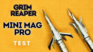 GRIM REAPER MINI MAG PRO, 100 gr: Broadhead Test