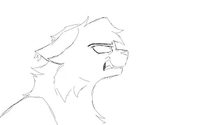 OPEN UP YOUR EYES evil jayfeather au map wip
