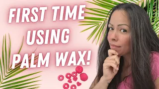 DIY Palm Wax Embeds