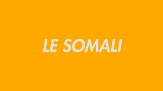 Le somali dans le bilan allophonique