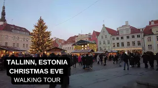 City walks series - Tallinn, Estonia (Christmas eve 2022. Christmas tree)