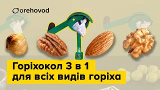 Розкол волоського горіха, фундука, пекана та мигдалю. 90% цілих ядер