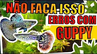 🔴PEIXE GUPPY: ERROS QUE OS AQUARISTAS COMETEM EM AQUÁRIOS |Mr. Betta|