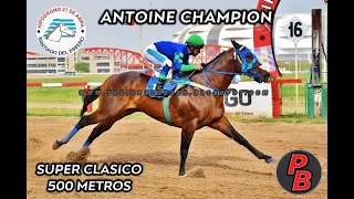 ANTOINE CHAMPION: SUPER CLASICO - HIPODROMO 27 DE ABRIL, SGO. DEL ESTERO (12-11-2023)