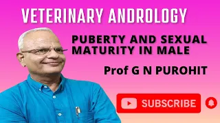 Puberty and Sexual maturity in male animals I Veterinary Andrology I VGO Unit 3 I GNP Sir