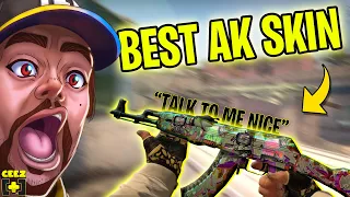 The BEST AK Skin in Counter-Strike (Headshot)