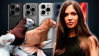 Камера iPhone 15 Pro Max Titanium! Двухчубые голуби. Tauben. Pigeons. Palomas. Pombos. 비둘기.