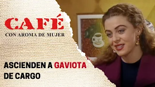 Gaviota se queda en la Asociación con un nuevo puesto | Café, con aroma de mujer